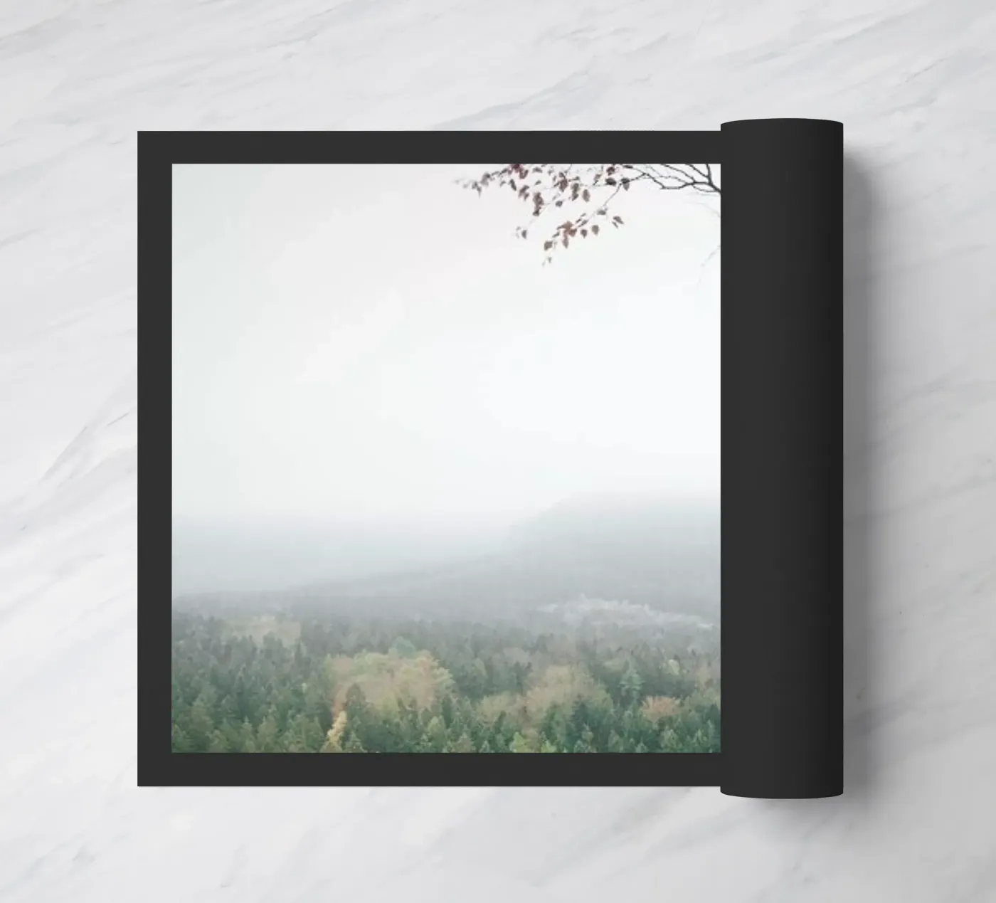 Young Birch doormat by Håggard Photography | Ronny Behnert