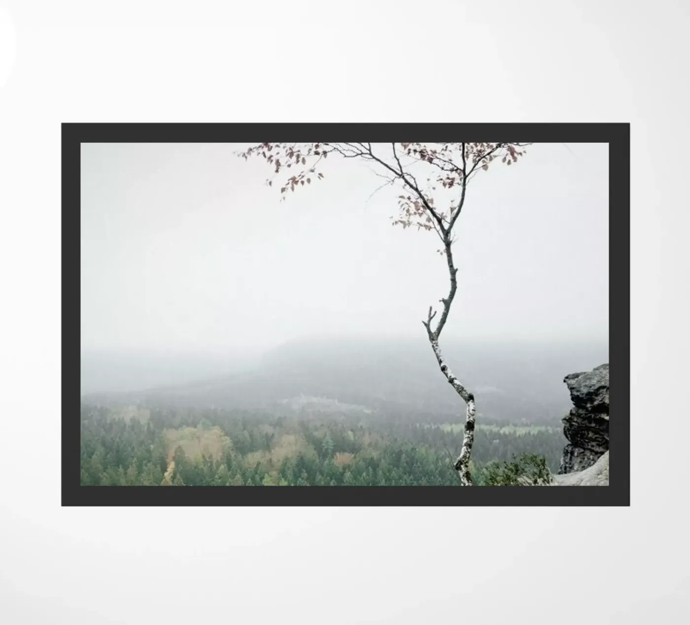 Young Birch doormat by Håggard Photography | Ronny Behnert