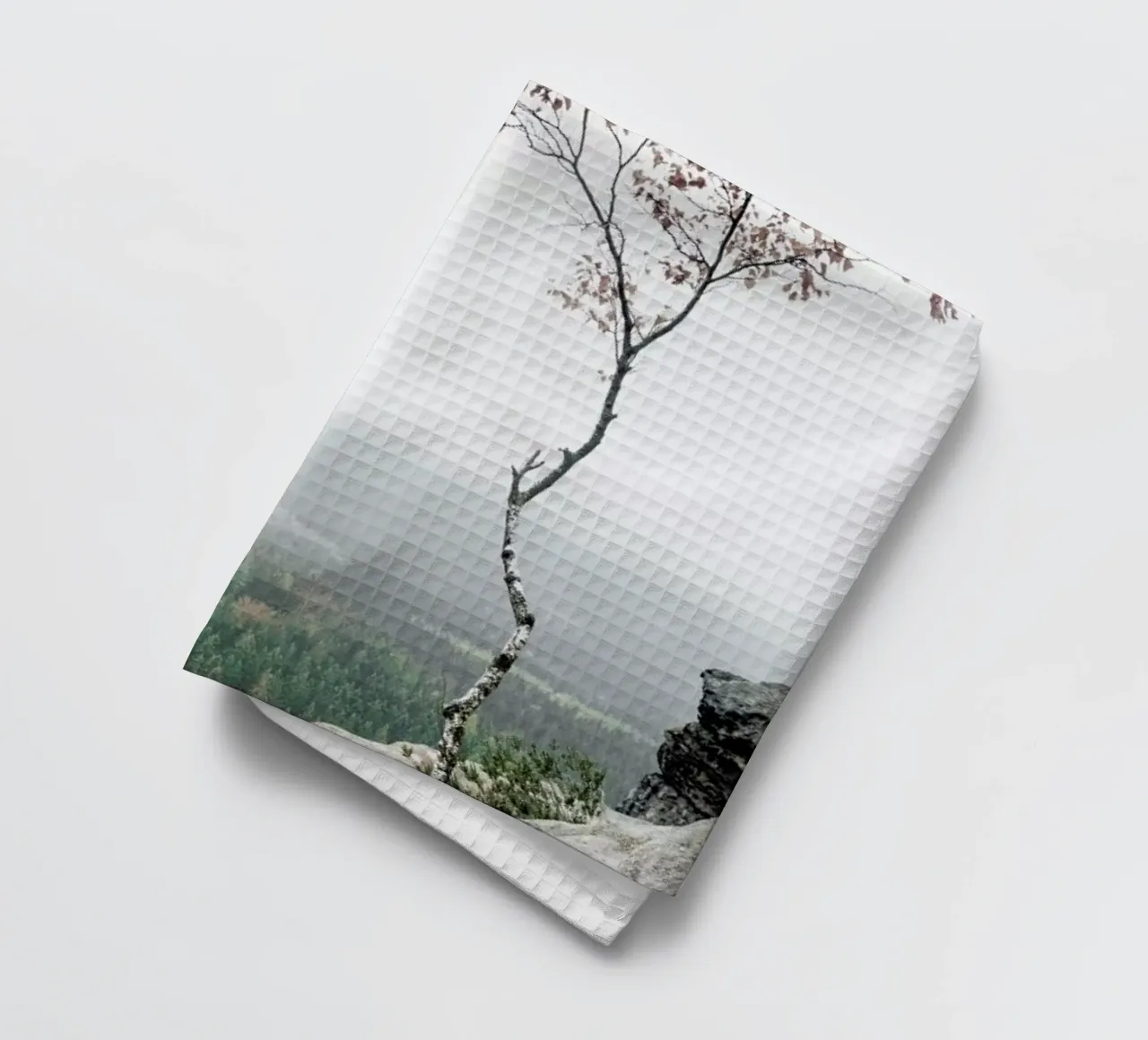 Young Birch tea towel by Håggard Photography | Ronny Behnert