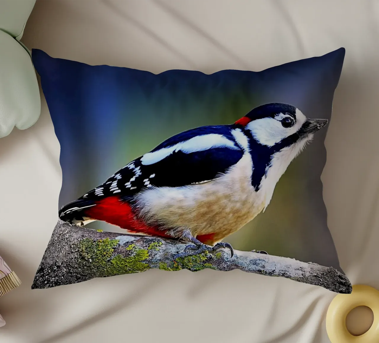 FAA270 decorative cushion by Thierry vobmann photography