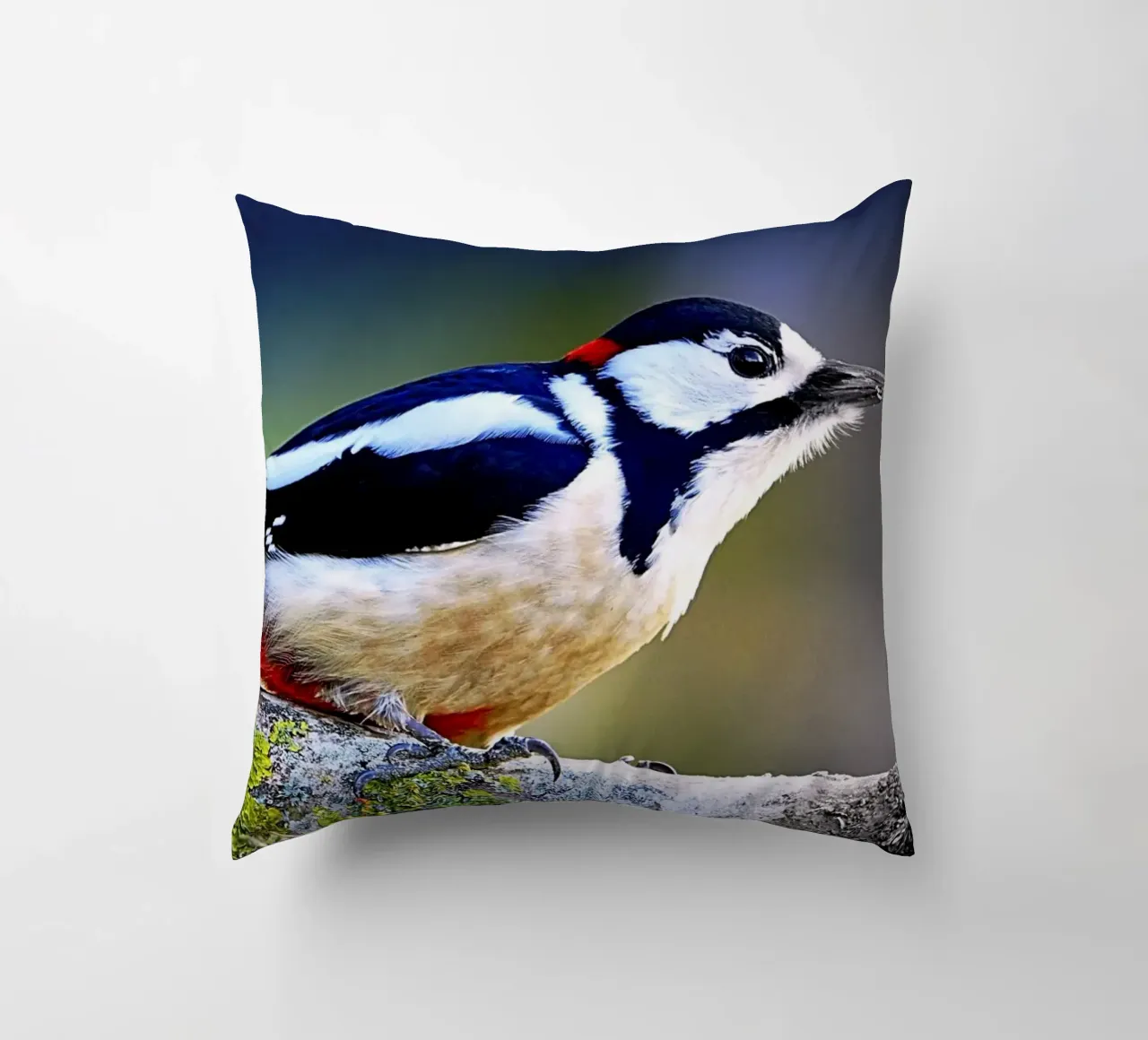 FAA270 decorative cushion by Thierry vobmann photography