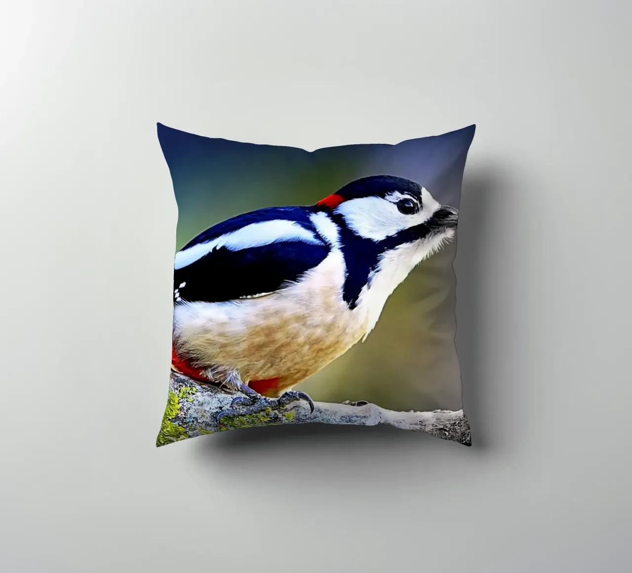 FAA270 decorative cushion by Thierry vobmann photography