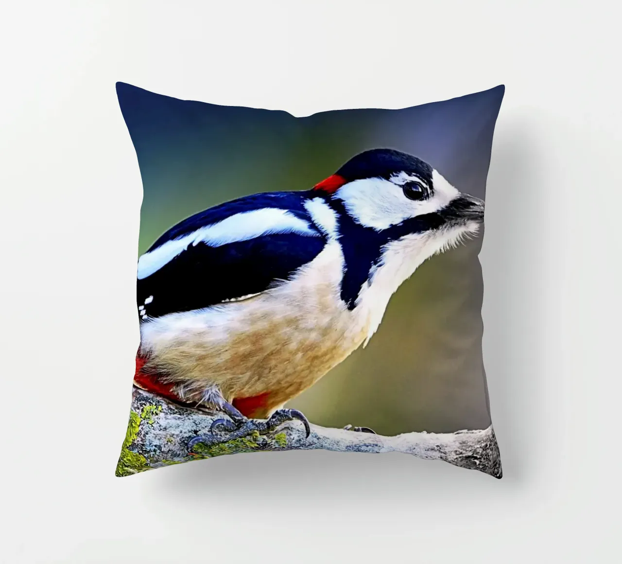 FAA270 decorative cushion by Thierry vobmann photography