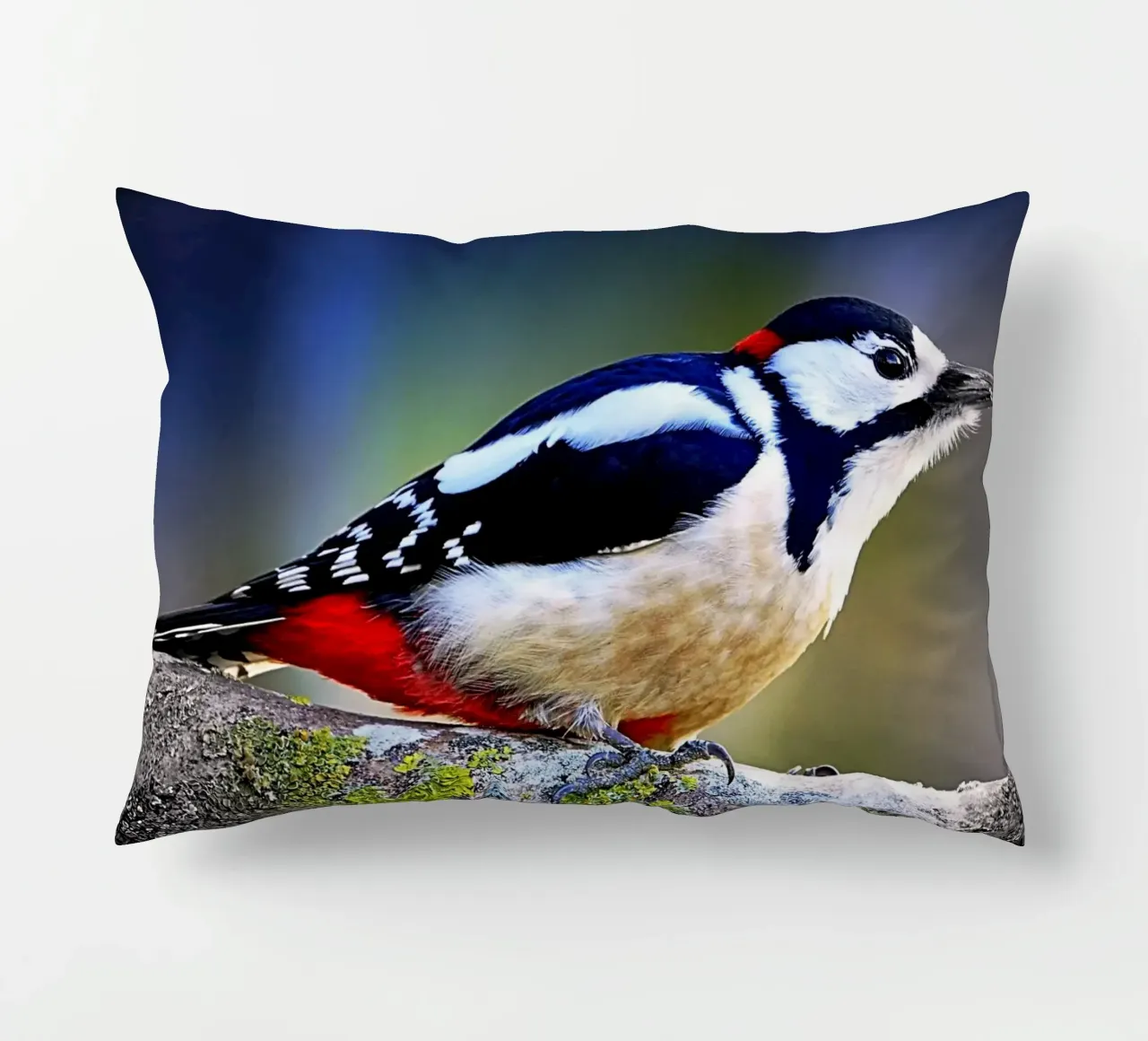 FAA270 decorative cushion by Thierry vobmann photography