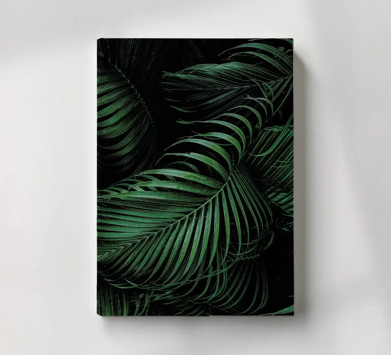 Feathered Palm diario da Flora & Fauna