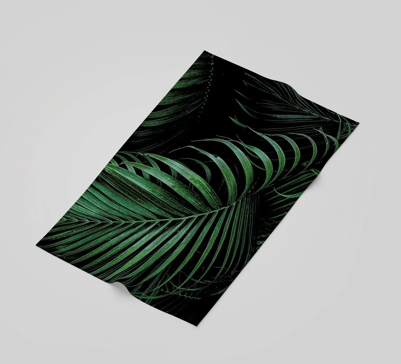 Feathered Palm telo mare da Flora & Fauna