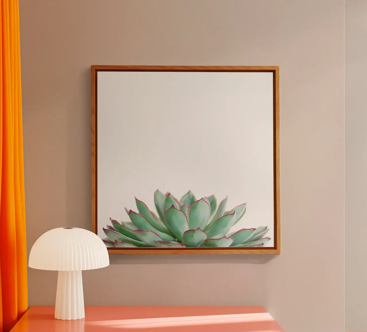 Echeveria plexiglass da Cassia Beck Photography
