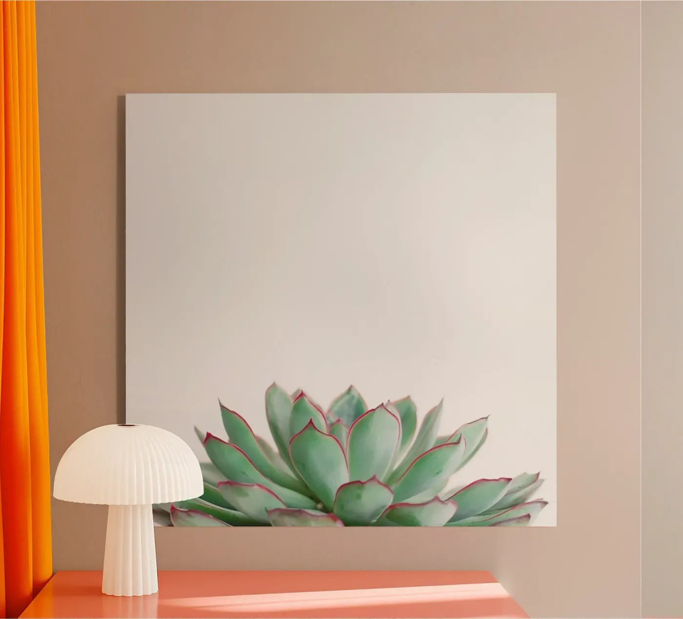 Echeveria plexiglass da Cassia Beck Photography
