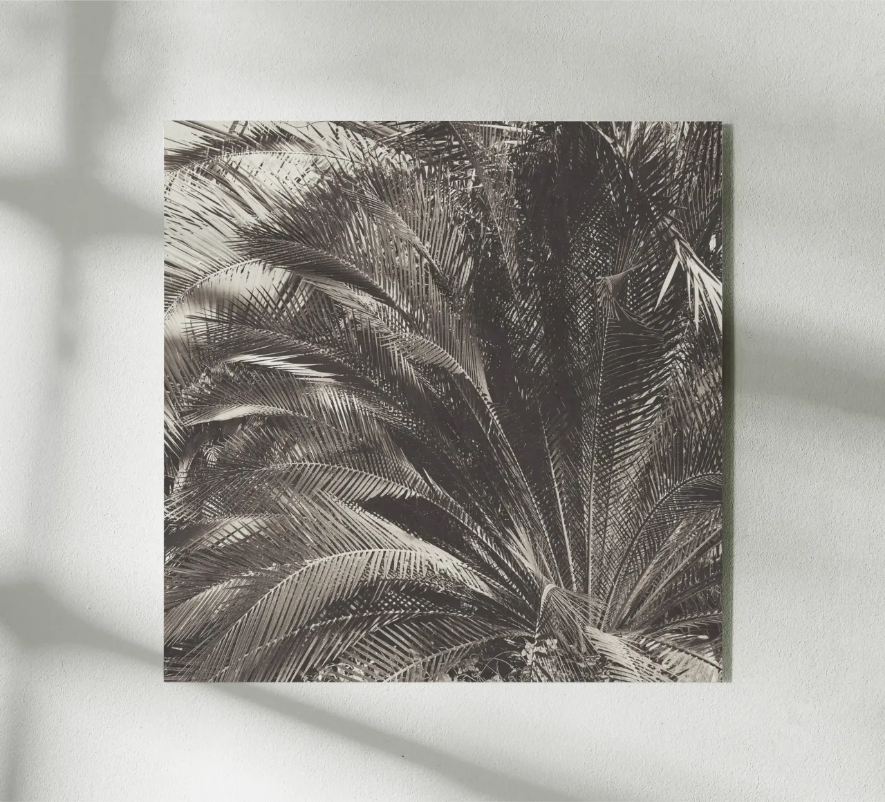 Giungla plexiglass da Cassia Beck Photography