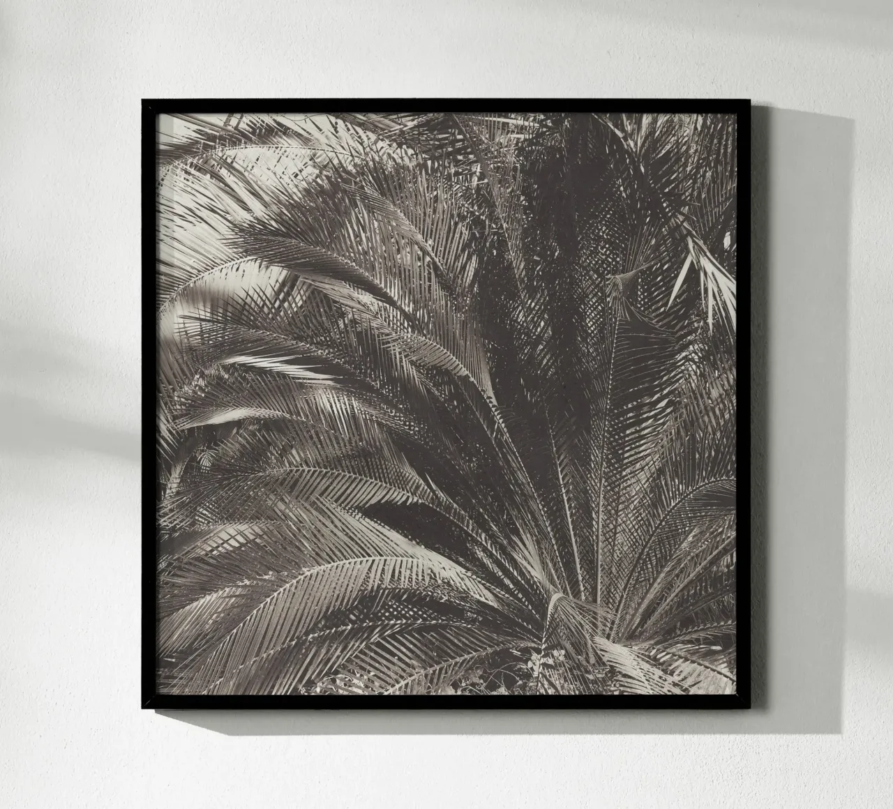 Giungla poster da Cassia Beck Photography