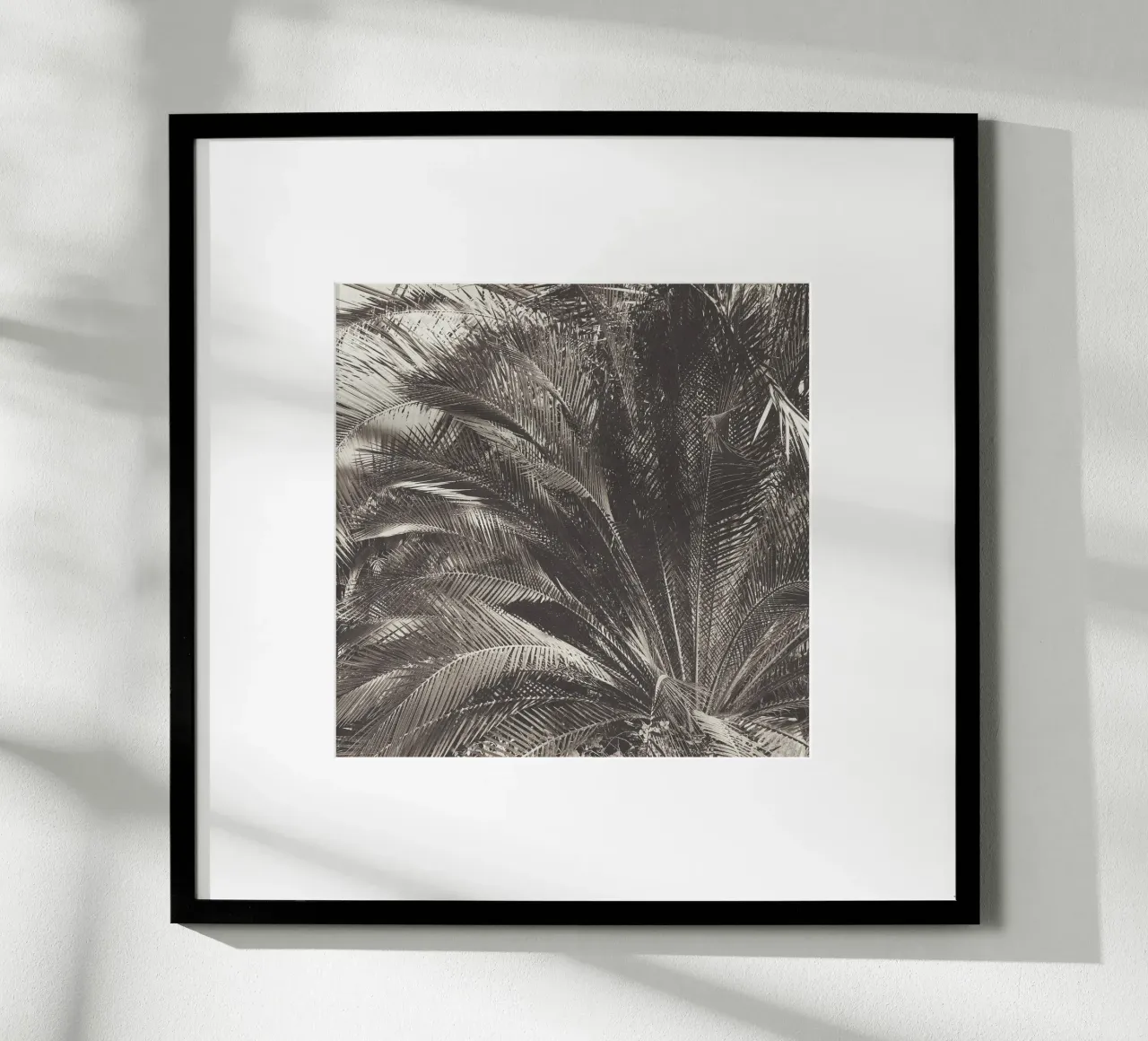 Giungla poster da Cassia Beck Photography