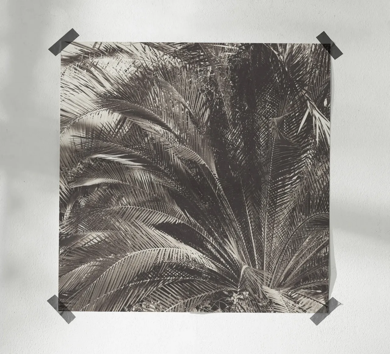 Giungla poster da Cassia Beck Photography