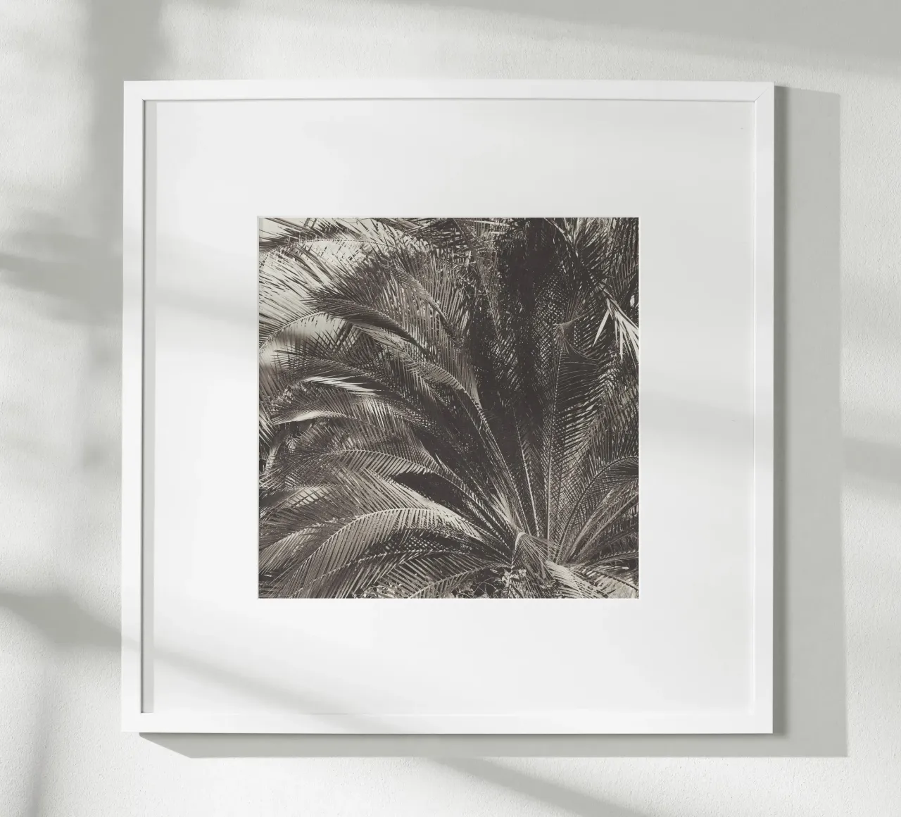 Giungla poster da Cassia Beck Photography