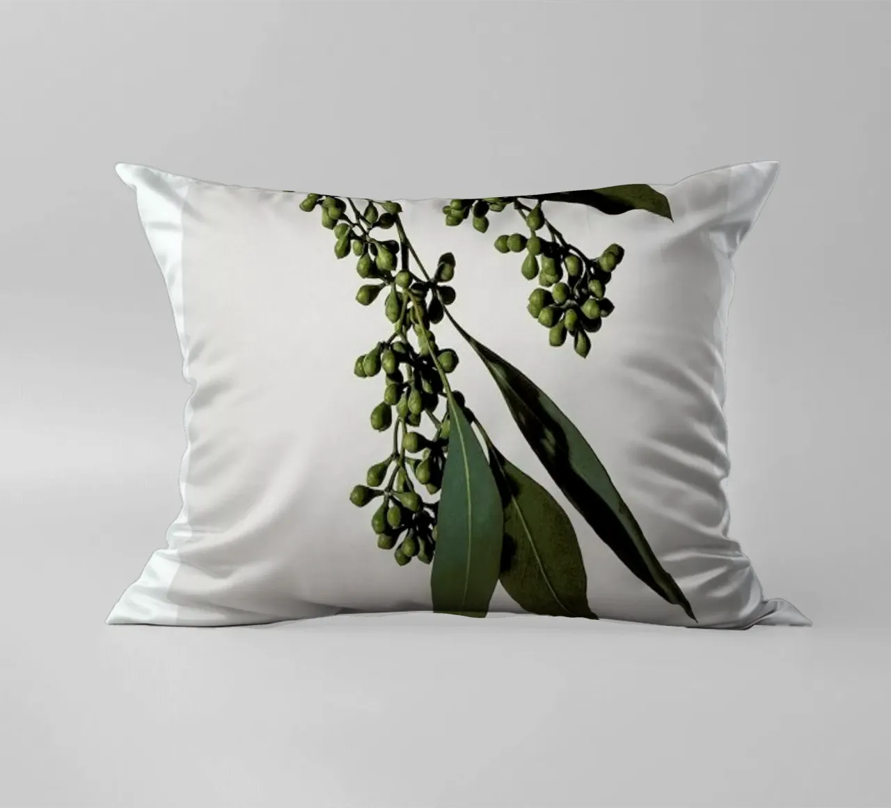 Eucalyptus cuscino da Flora & Fauna