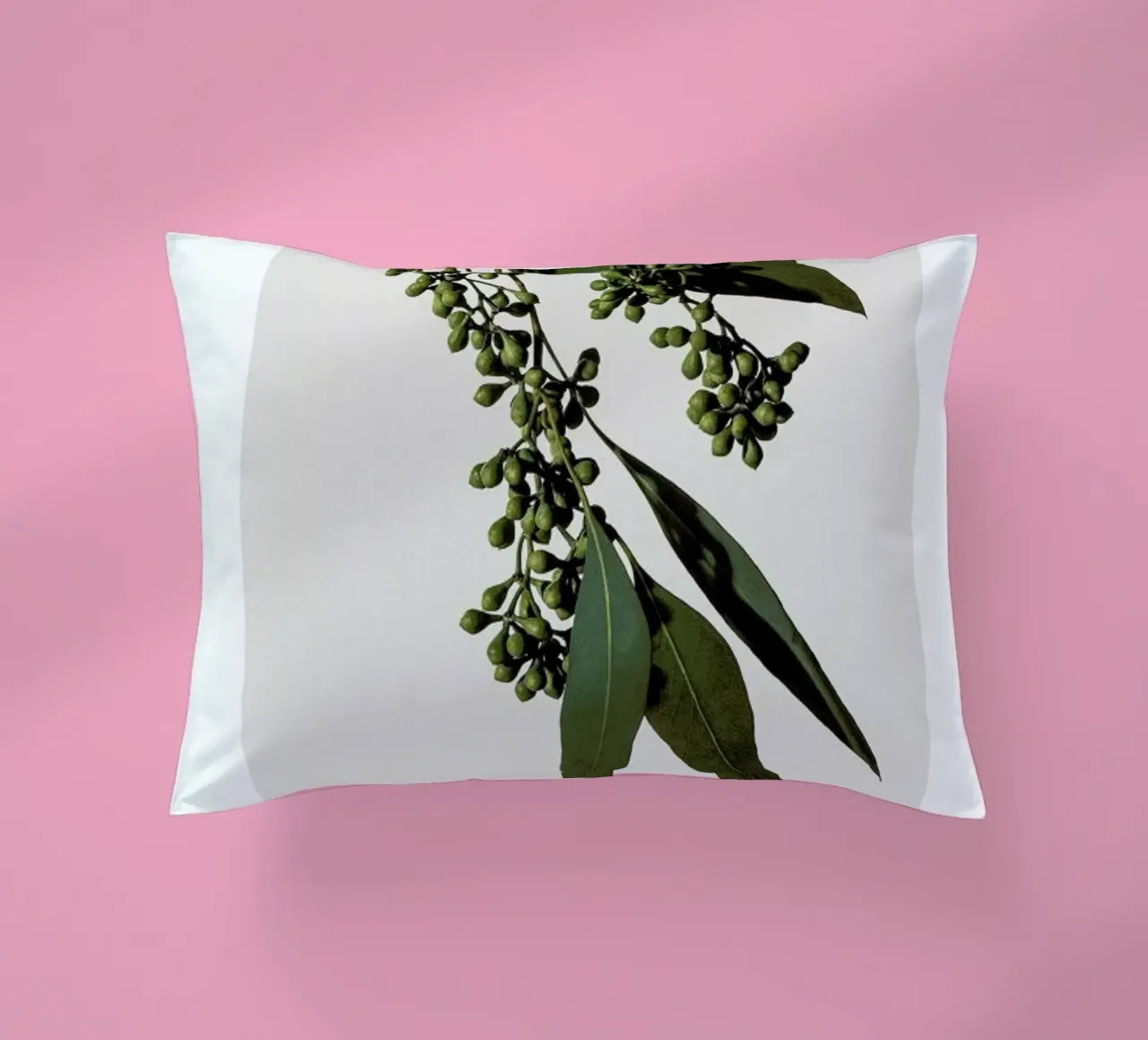 Eucalyptus cuscino da Flora & Fauna
