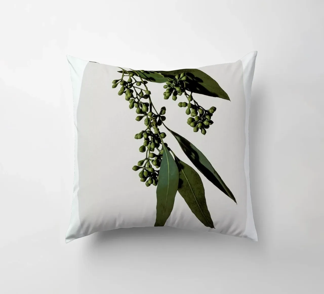 Eucalyptus cuscino da Flora & Fauna