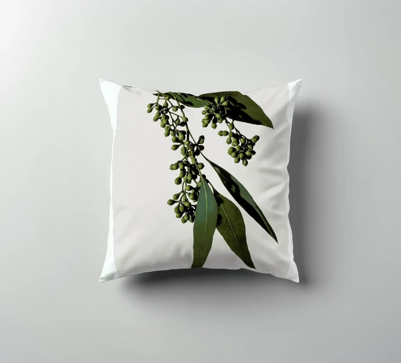Eucalyptus cuscino da Flora & Fauna