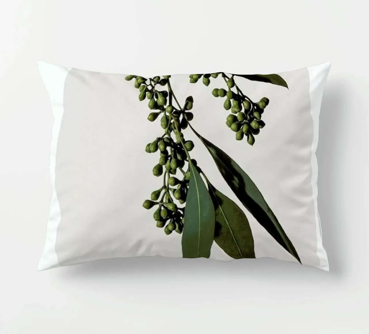 Eucalyptus cuscino da Flora & Fauna
