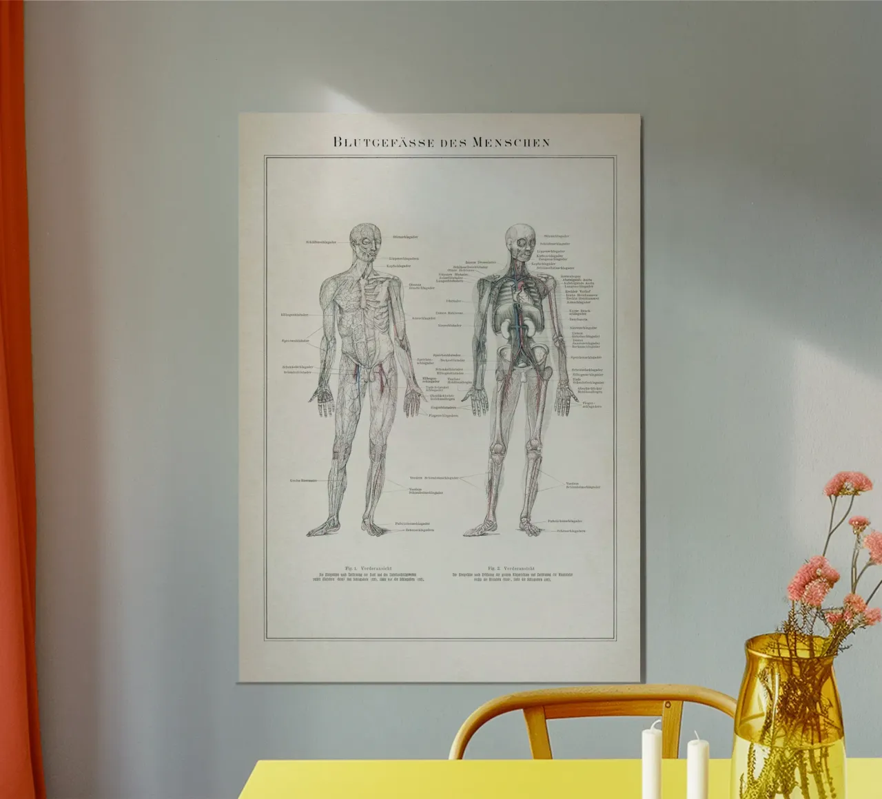 Vintage Meyers 7 Blutgefäße des Menschen poster con telaio in plastica da Vintage Print Collection