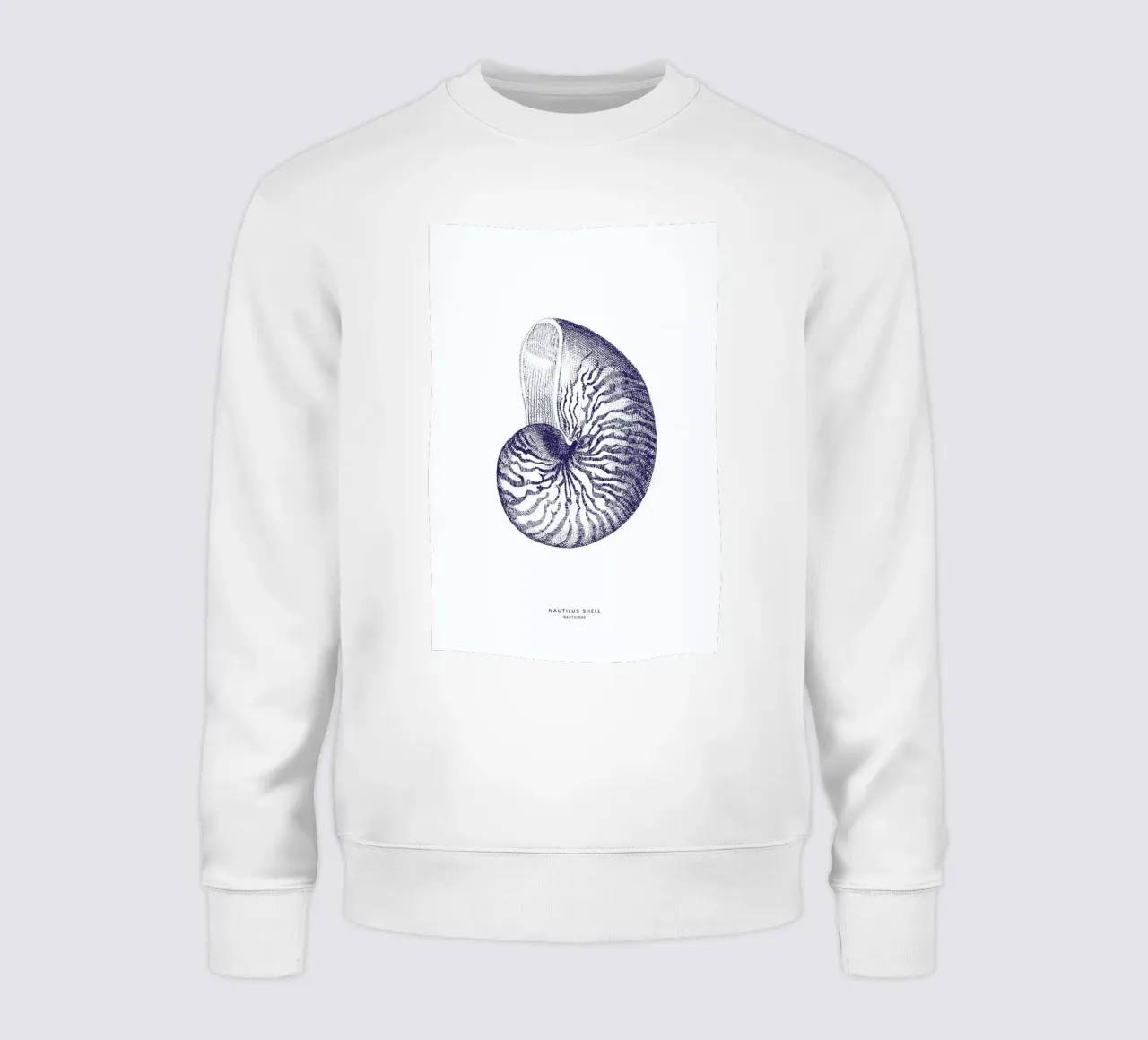 Nautilus Shell II felpa da Flora & Fauna