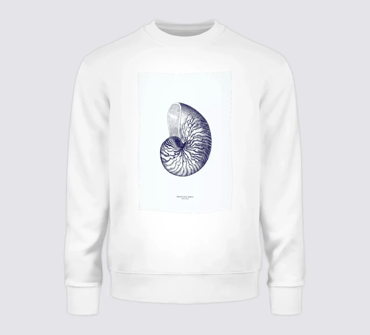 Nautilus Shell II sweatshirt by Flora & Fauna