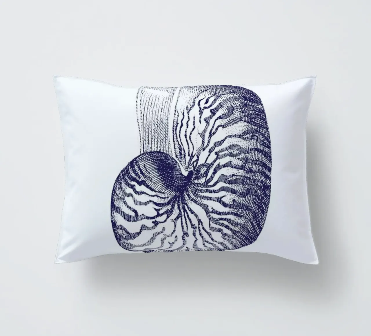 Nautilus Shell II cuscino da Flora & Fauna