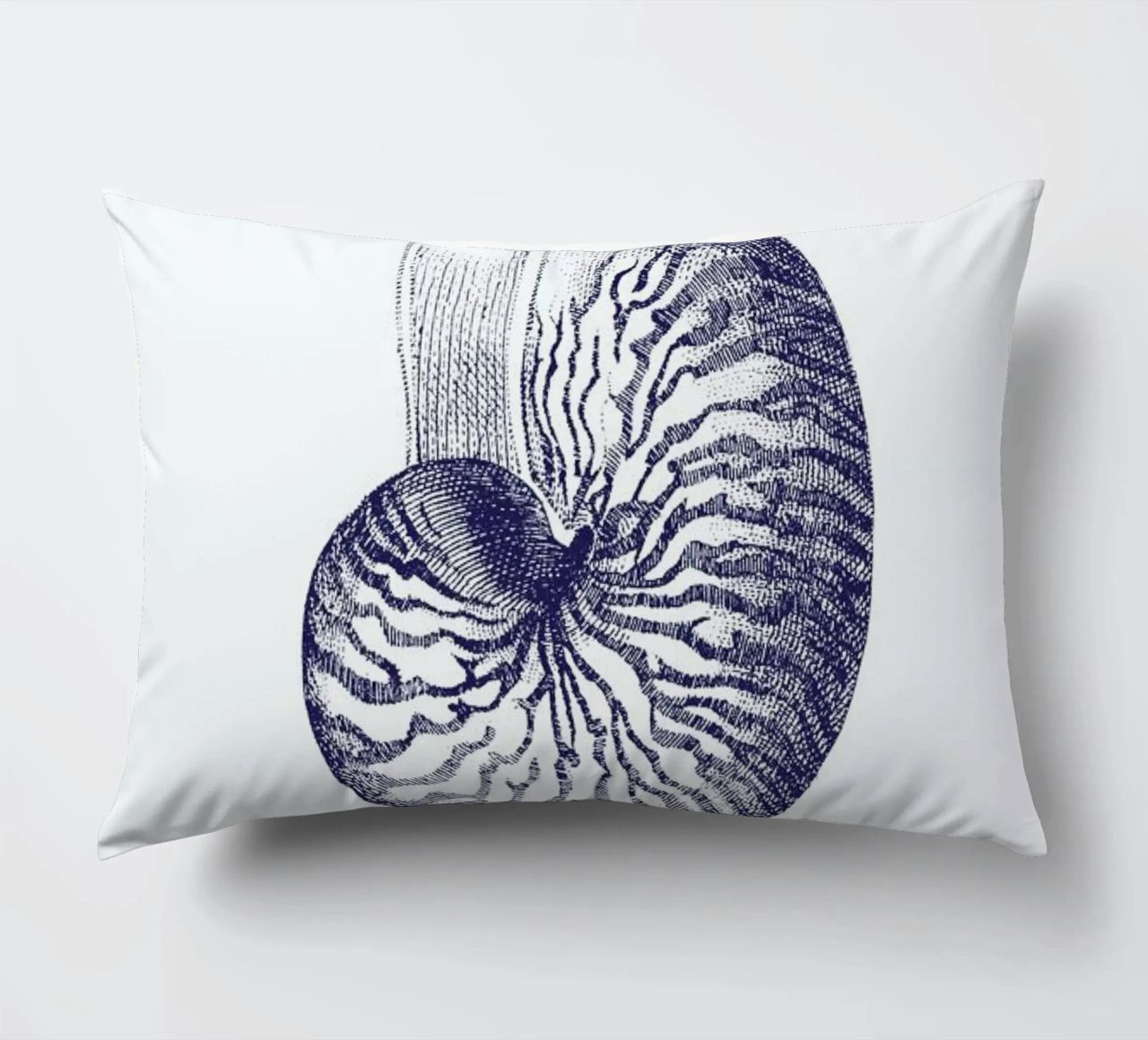 Nautilus Shell II cuscino da Flora & Fauna