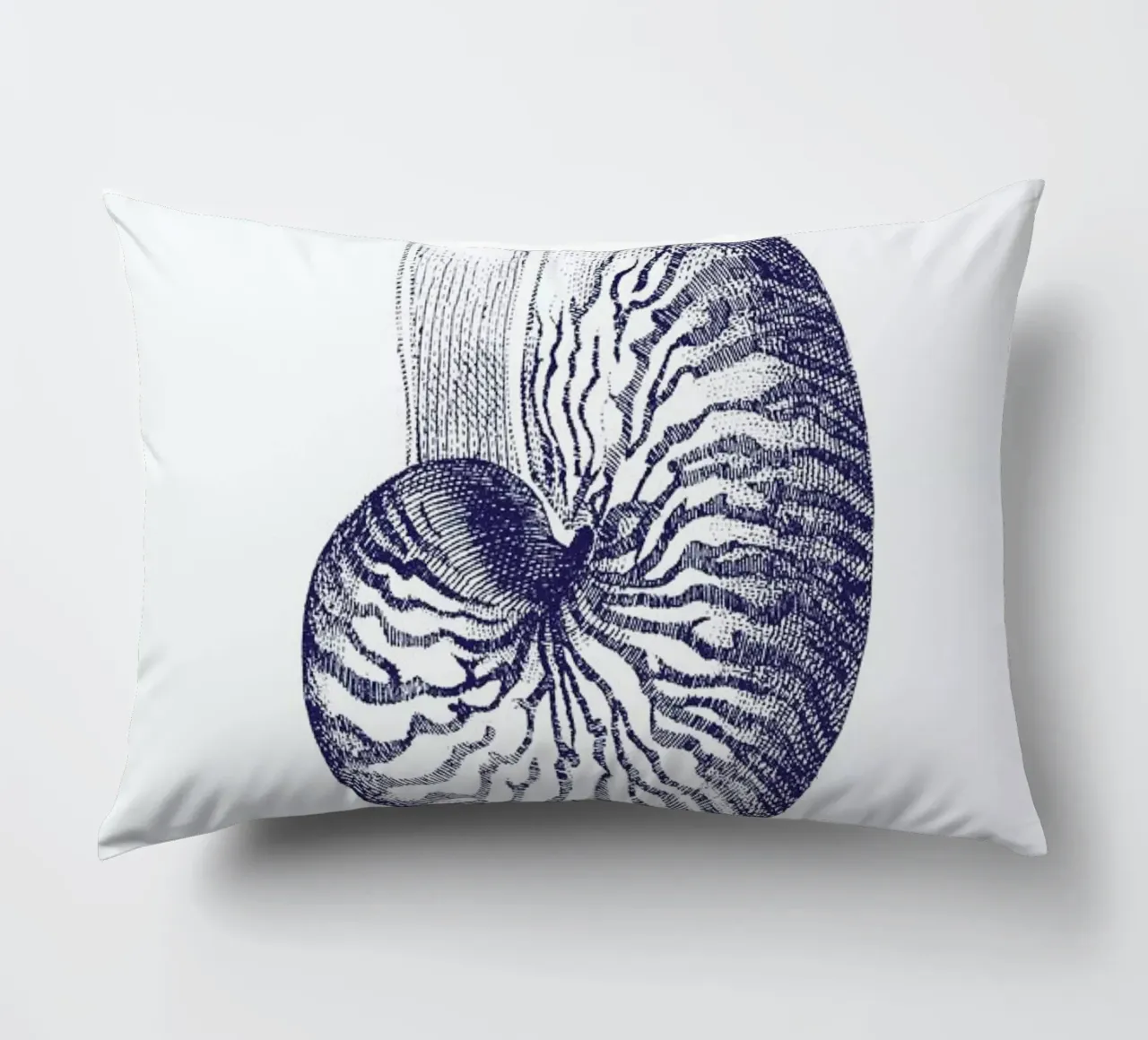 Nautilus Shell II Kissen von Flora & Fauna