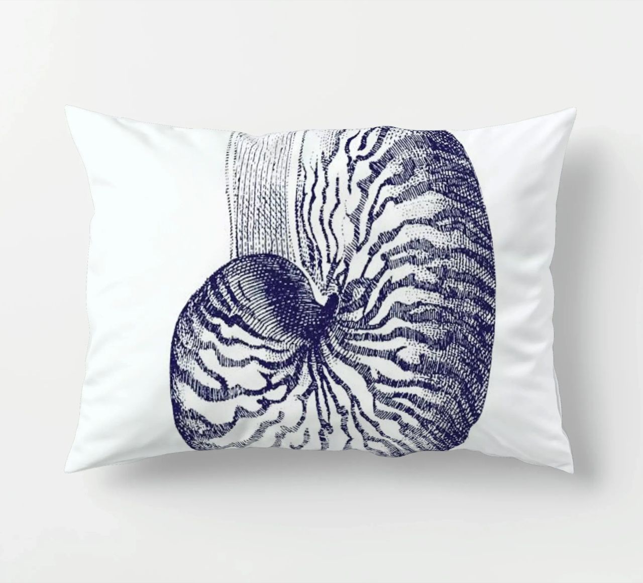 Nautilus Shell II cuscino da Flora & Fauna