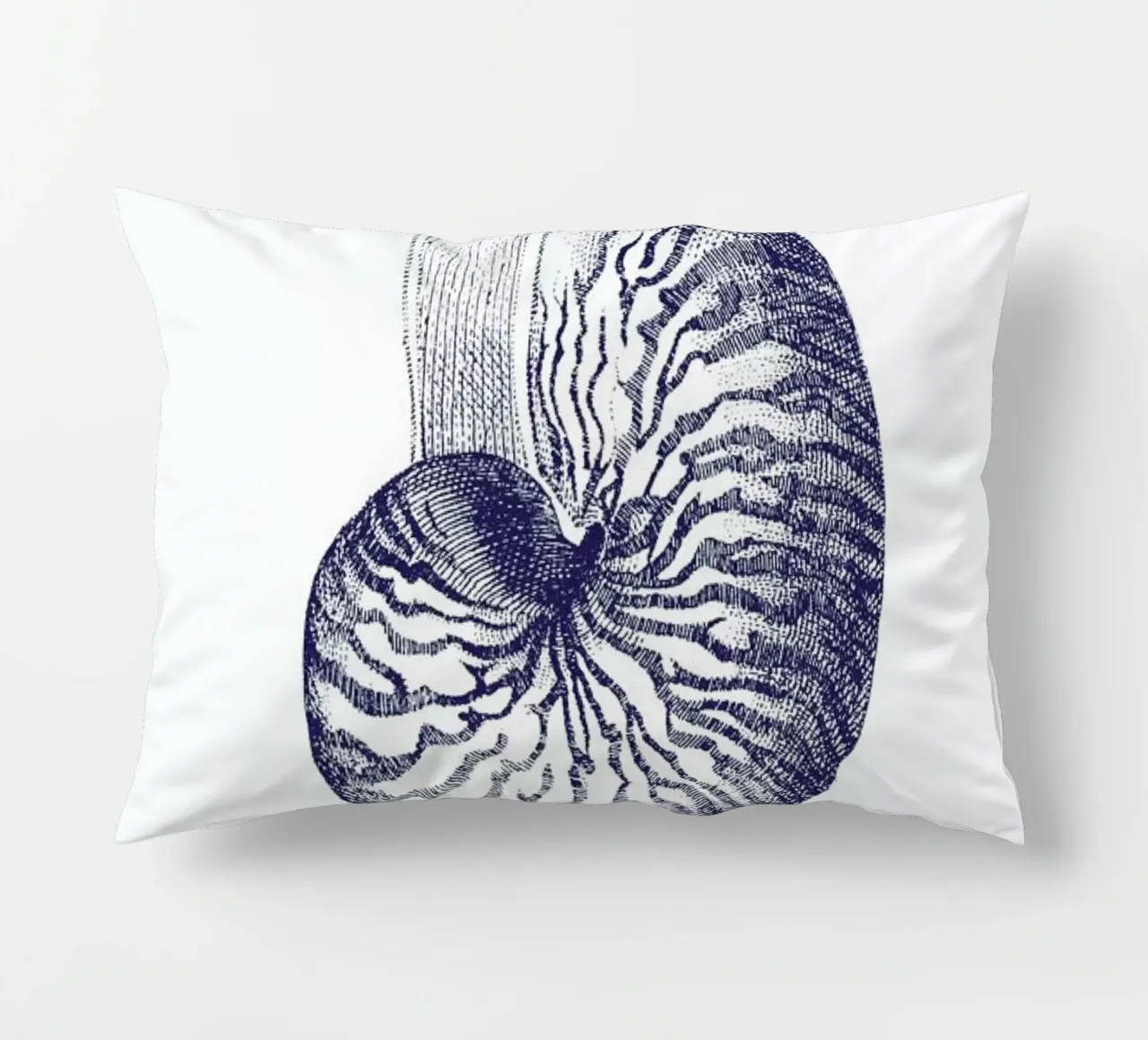 Nautilus Shell II cojín de Flora & Fauna