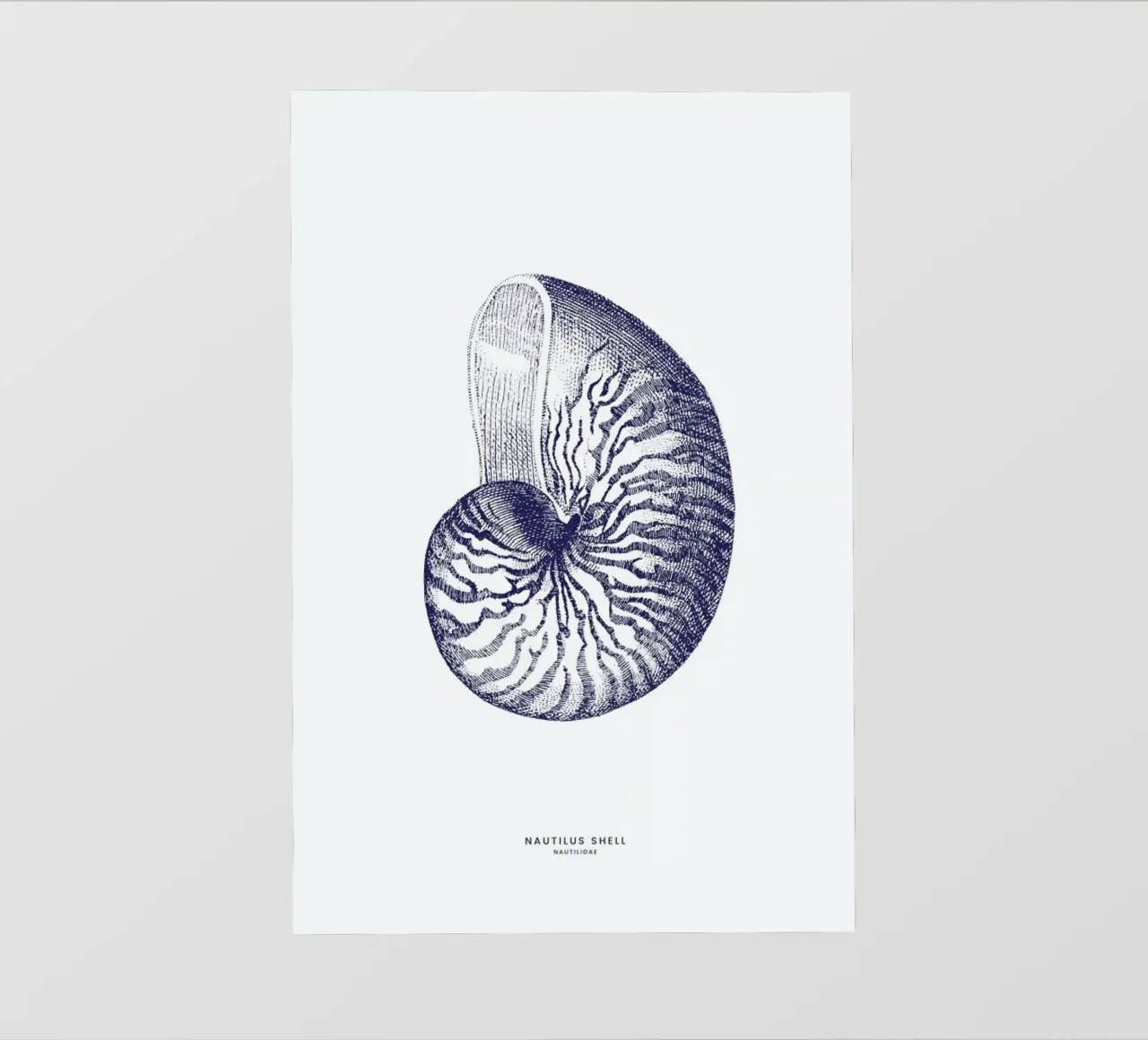 Nautilus Shell II pellicola backlit da Flora & Fauna