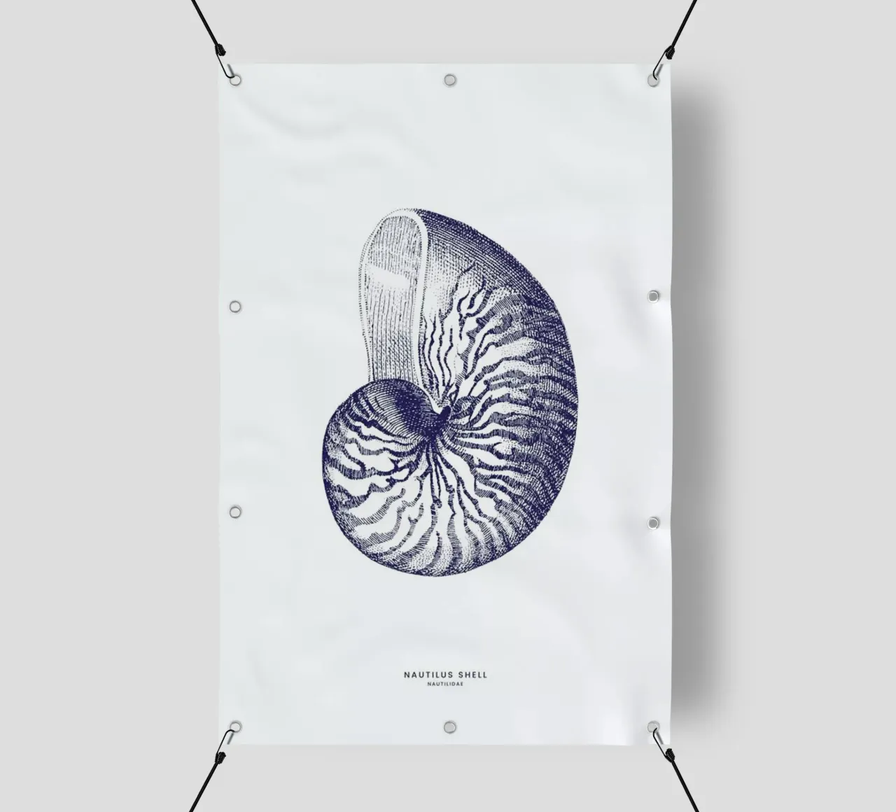 Nautilus Shell II pvc-zeil van Flora & Fauna