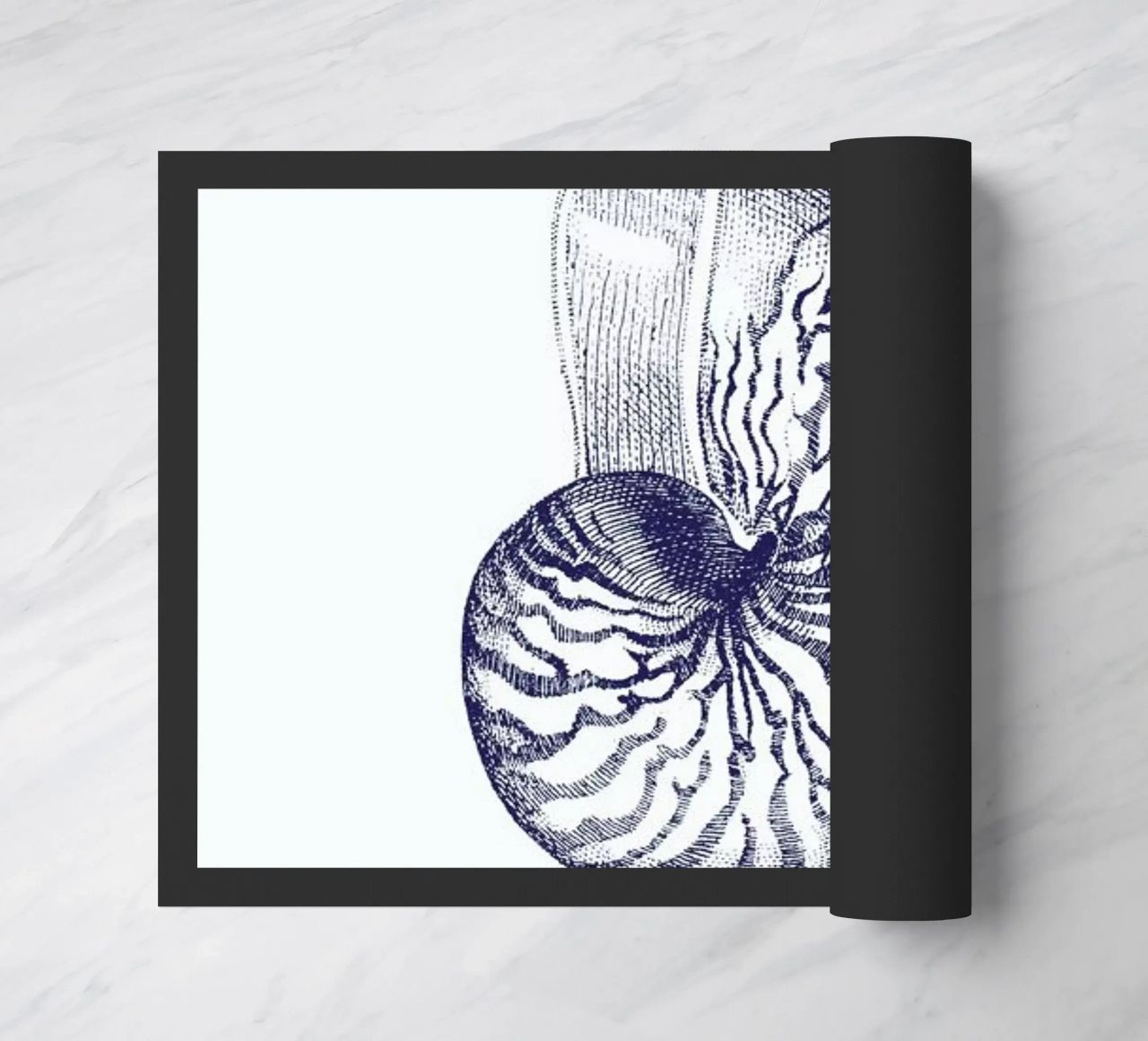 Nautilus Shell II zerbino da Flora & Fauna