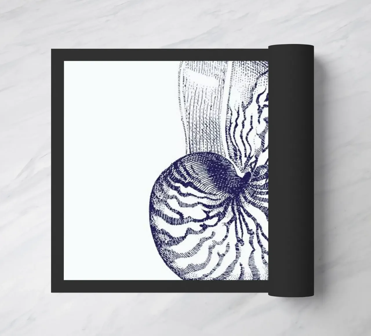 Nautilus Shell II zerbino da Flora & Fauna