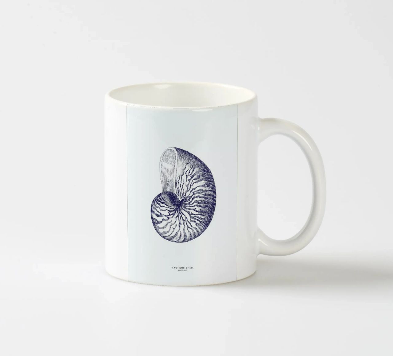 Nautilus Shell II tazza in ceramica da Flora & Fauna