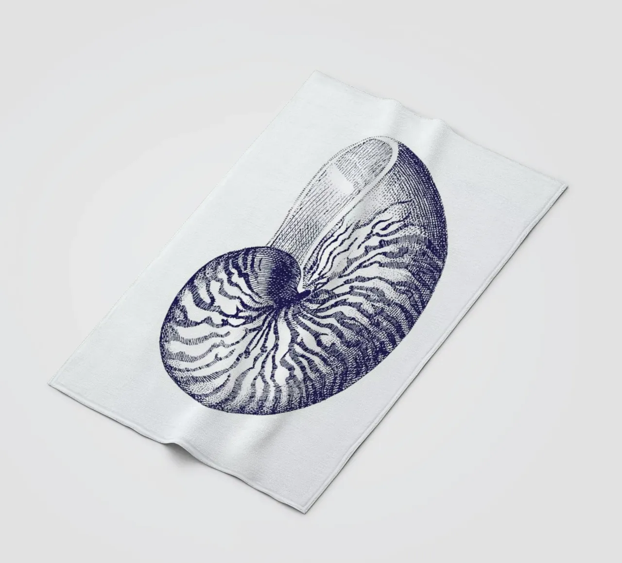 Nautilus Shell II coperta in pile da Flora & Fauna