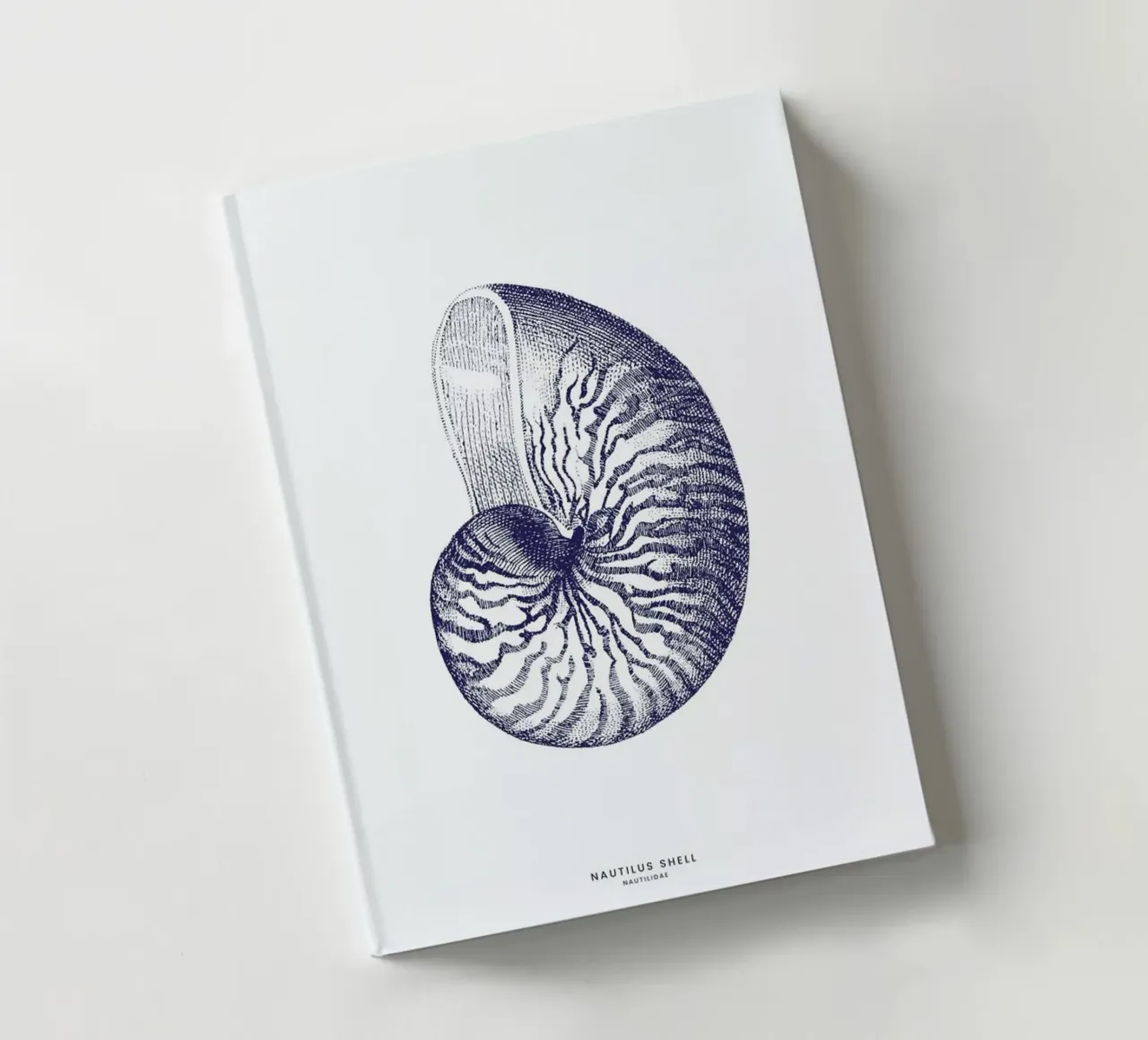 Nautilus Shell II Notizbuch von Flora & Fauna