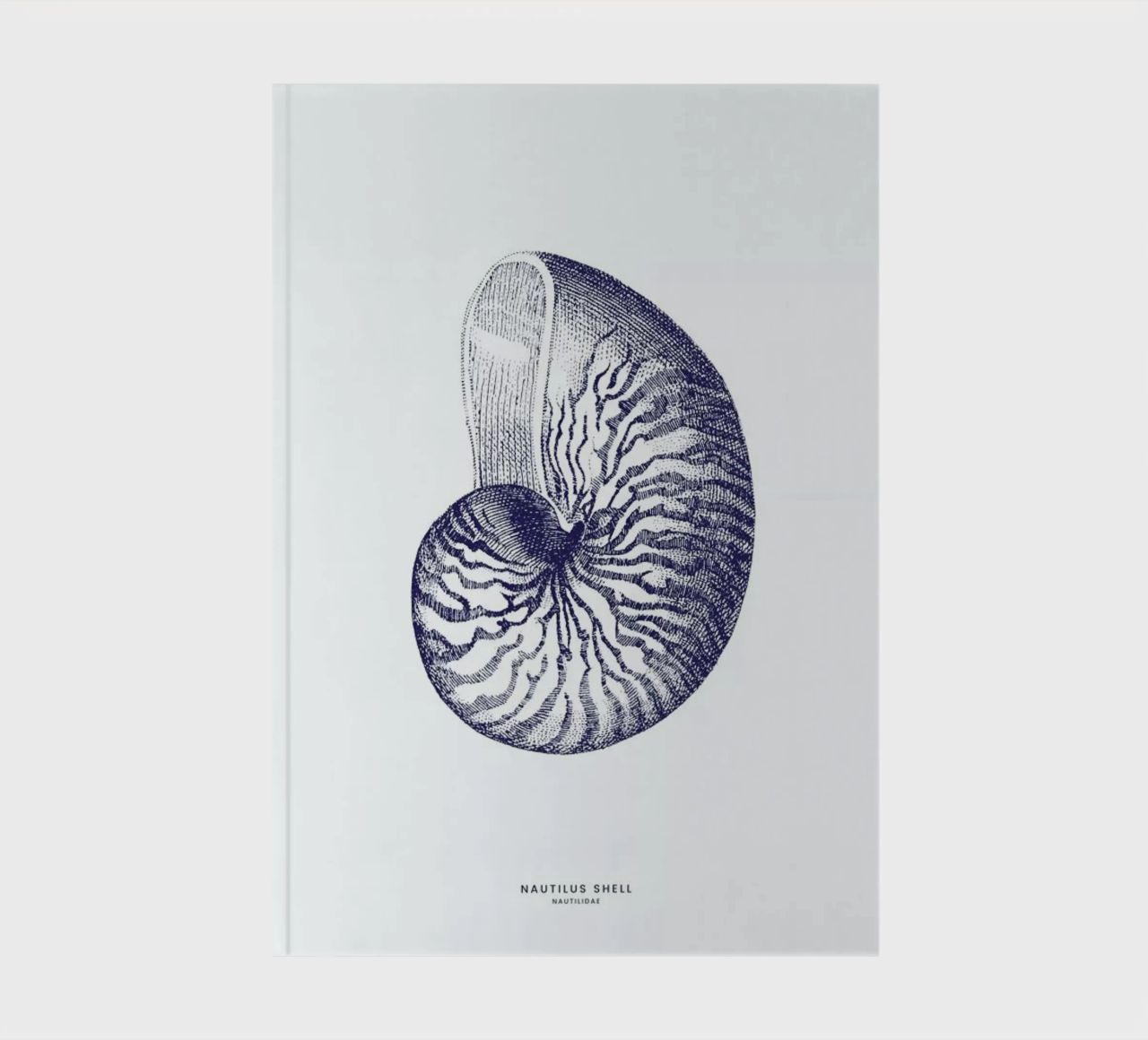 Nautilus Shell II notebook by Flora & Fauna