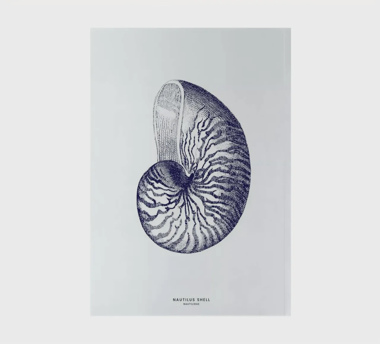 Nautilus Shell II notebook by Flora & Fauna