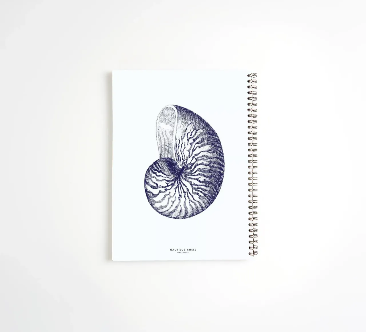 Nautilus Shell II spiral notebook by Flora & Fauna