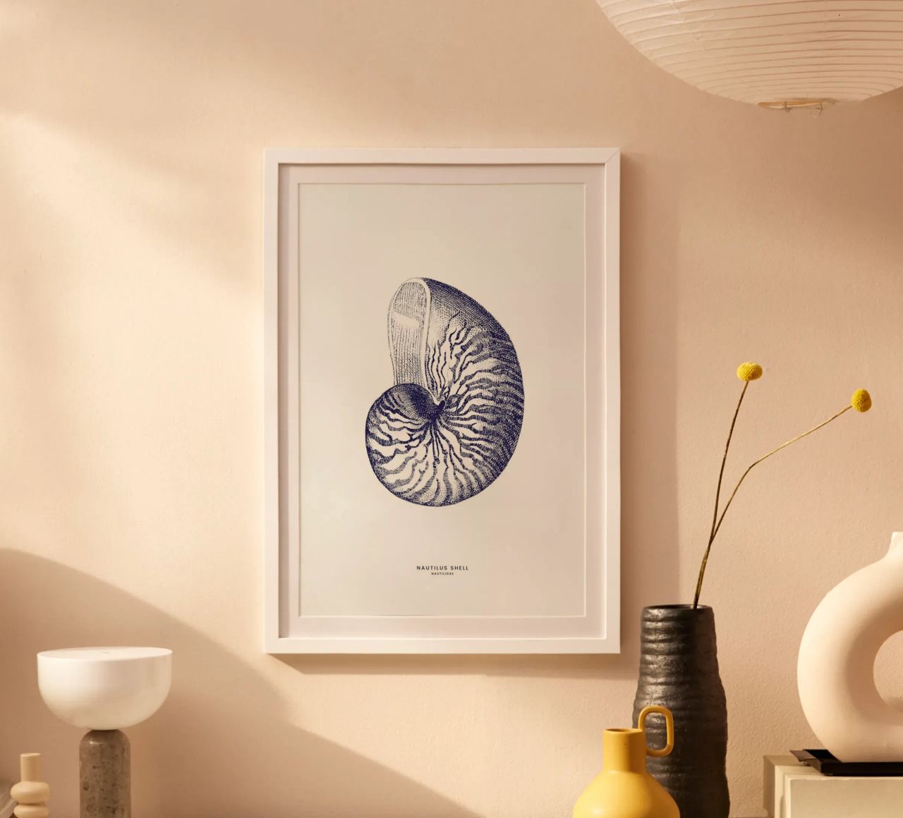 Nautilus Shell II poster da Flora & Fauna