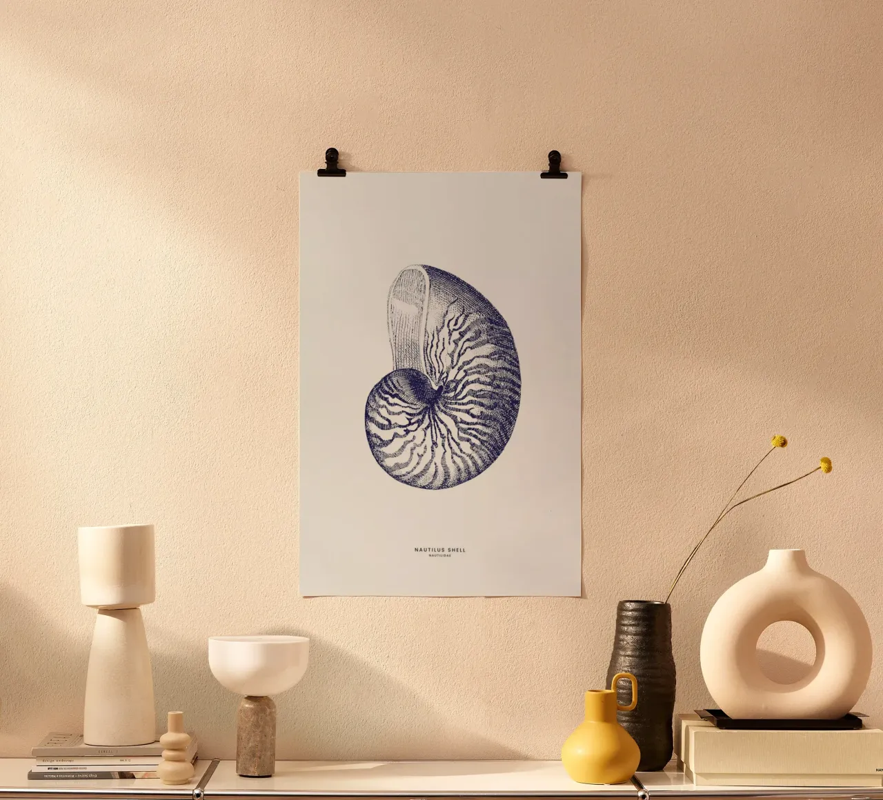 Nautilus Shell II carta hahnemühle da Flora & Fauna