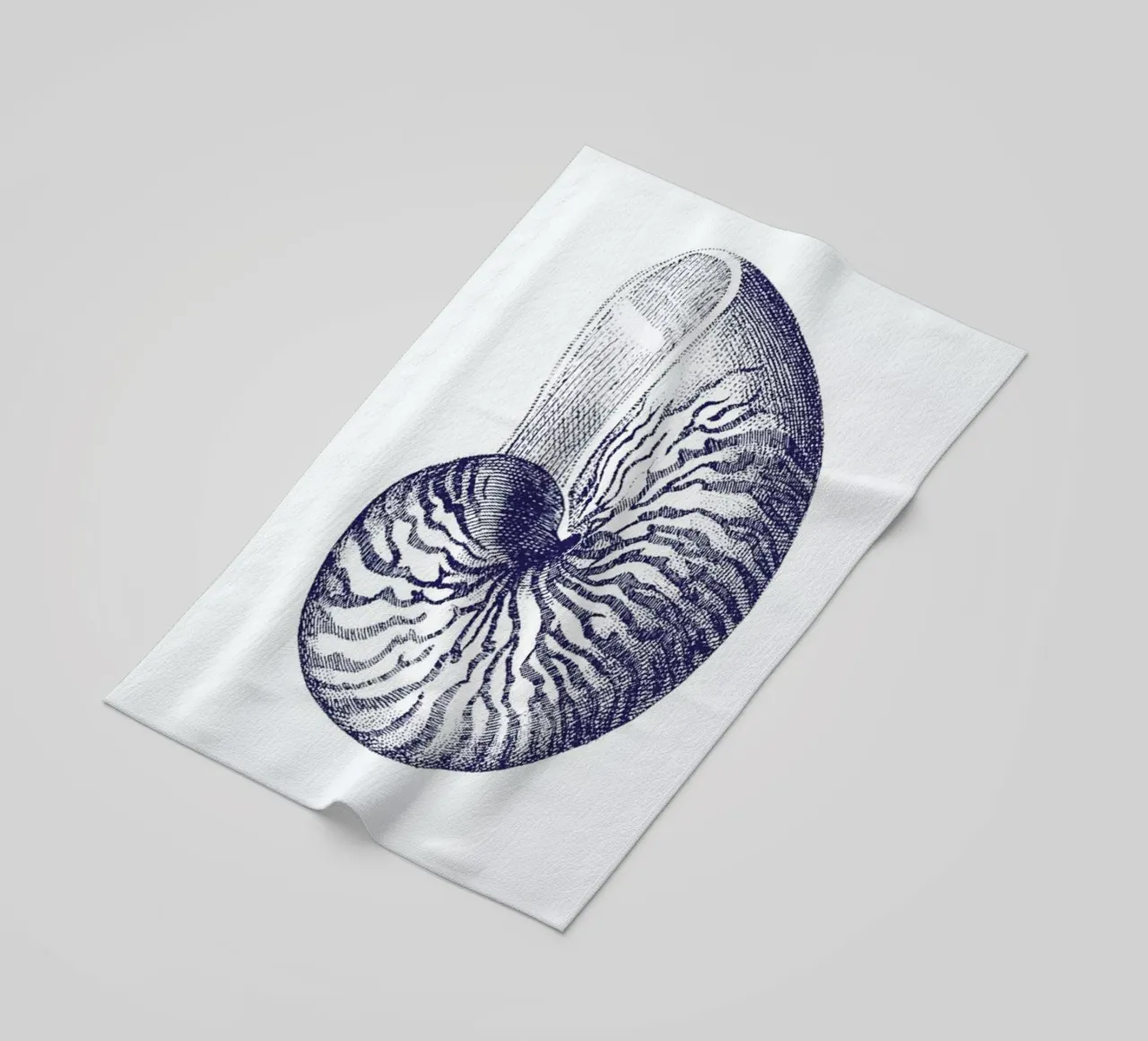 Nautilus Shell II telo mare da Flora & Fauna