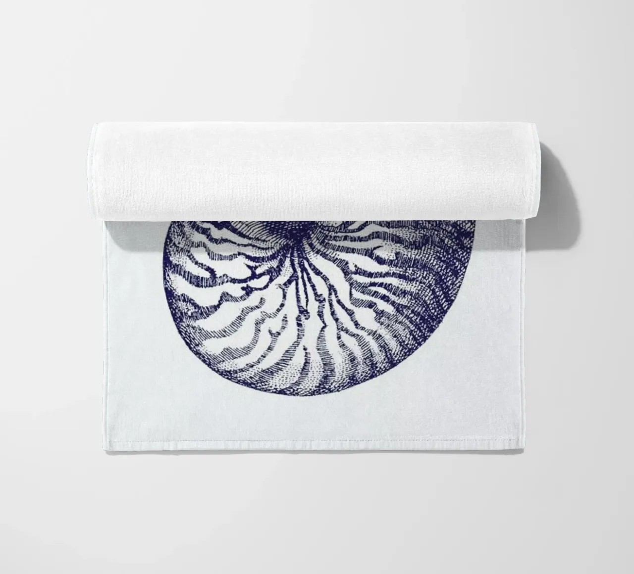 Nautilus Shell II telo mare da Flora & Fauna