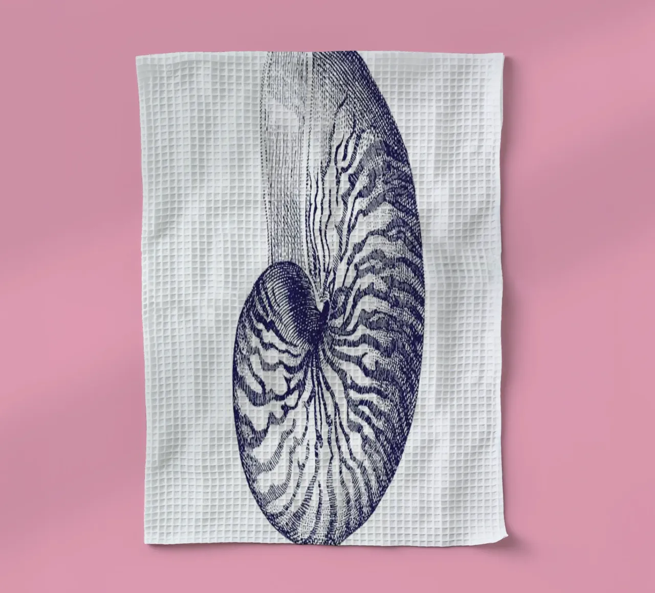 Nautilus Shell II tea towel by Flora & Fauna
