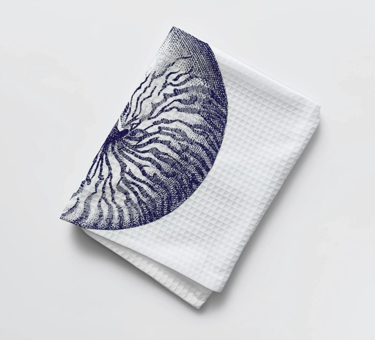 Nautilus Shell II canovaccio da cucina da Flora & Fauna