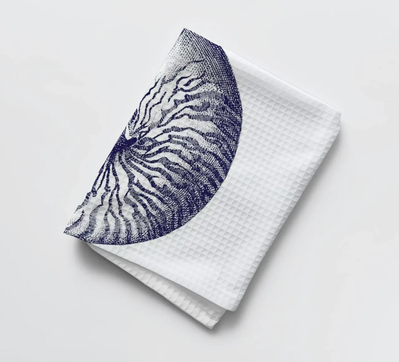 Nautilus Shell II tea towel by Flora & Fauna