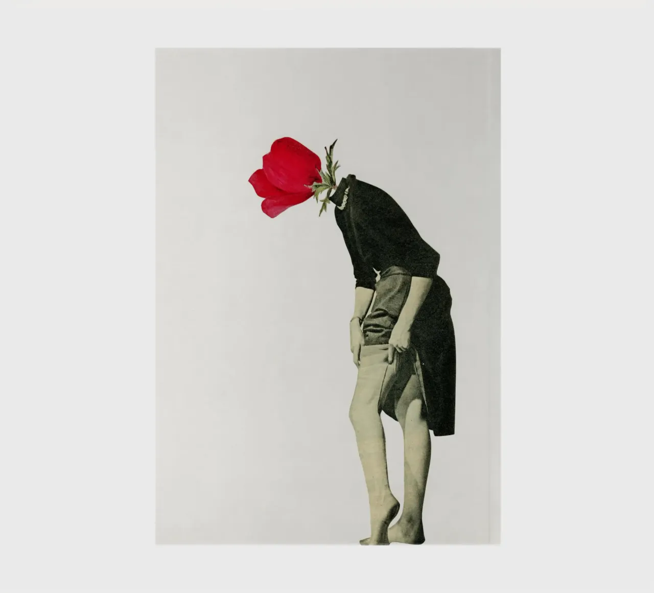 Ciao Fiore diario da Cassia Beck Collage