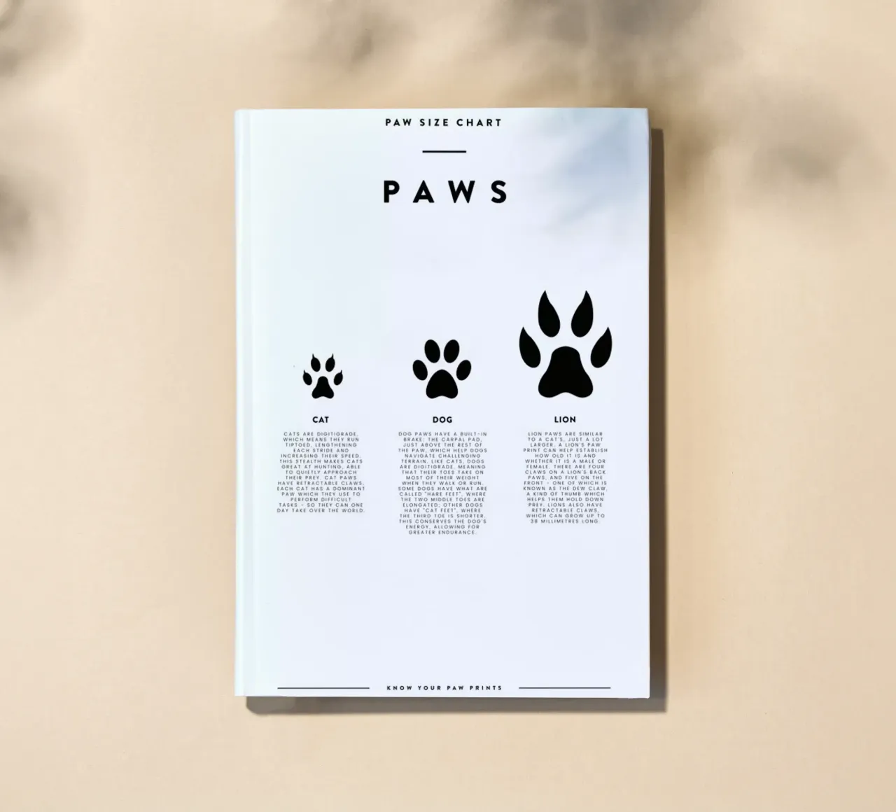 Animal sizing chart diario da daylight design studio