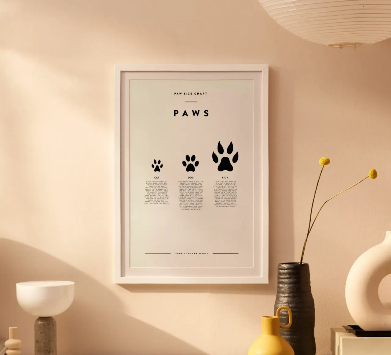 Animal sizing chart poster da daylight design studio